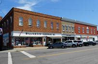 ace hardware williamson